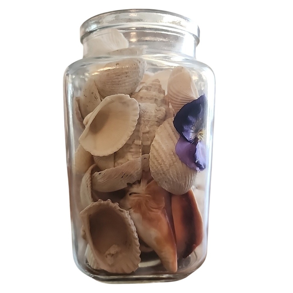 Fleur De Lis Jar With‎ Sea Shells